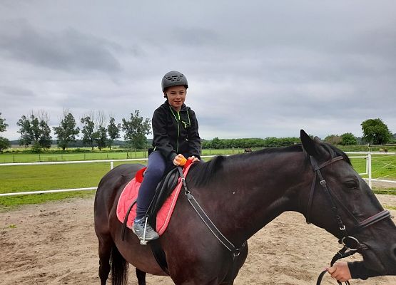 Dzień w siodle grafika