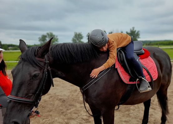 Dzień w siodle grafika