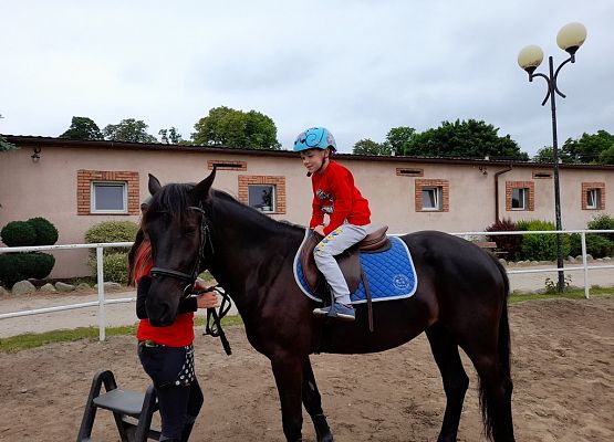 Dzień w siodle grafika