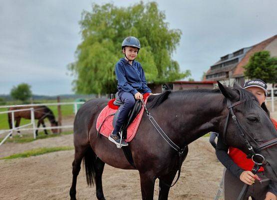 Dzień w siodle grafika