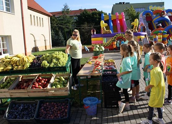 Piknik Zdrowia grafika