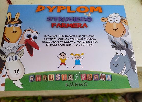     Grill – safari na Strusiej Farmie grafika