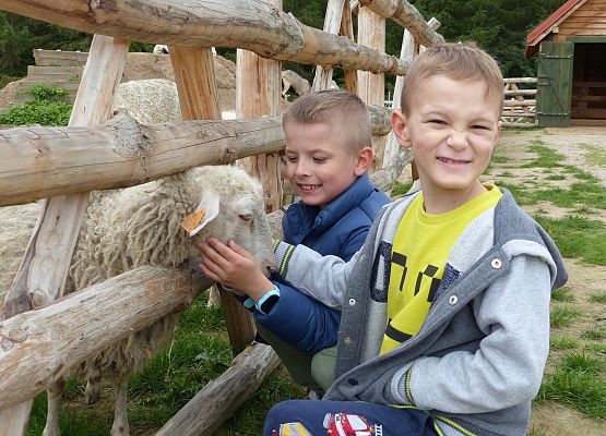 Klasa Ic z wizytą na Farmie Alexa grafika