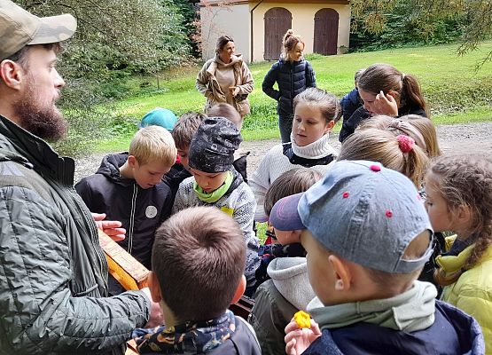 Lekcja przyrody w terenie grafika