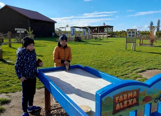 W odwiedzinach u Alexa grafika