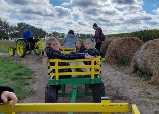 W odwiedzinach u Alexa grafika