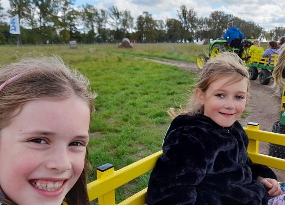 W odwiedzinach u Alexa grafika