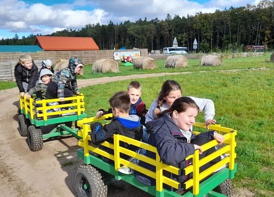 W odwiedzinach u Alexa grafika