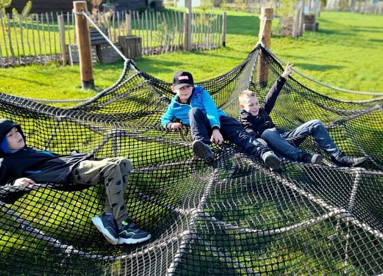 W odwiedzinach u Alexa grafika