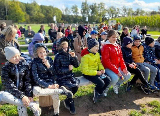 W odwiedzinach u Alexa grafika