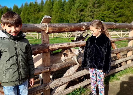 W odwiedzinach u Alexa grafika