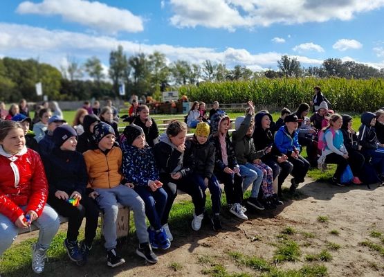 W odwiedzinach u Alexa grafika