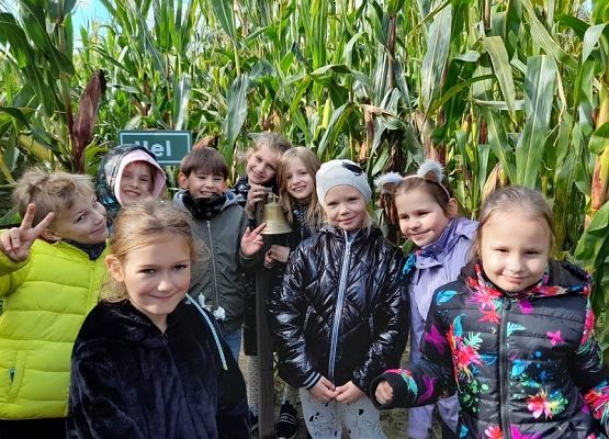 W odwiedzinach u Alexa grafika