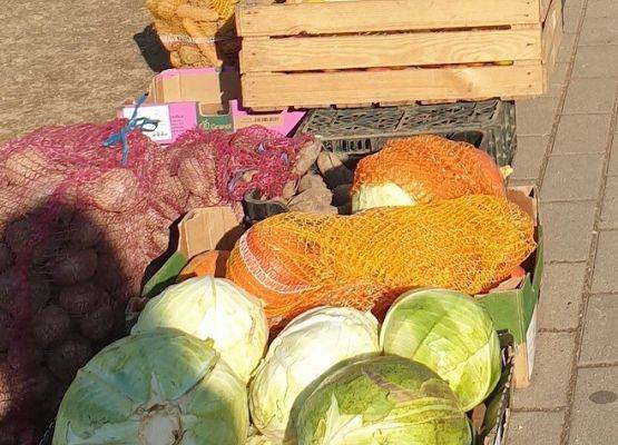 Grupa projektowa Erasmus+ na jesiennym spacerze po Lęborku grafika