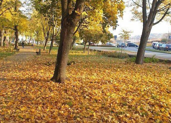 Grupa projektowa Erasmus+ na jesiennym spacerze po Lęborku grafika