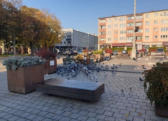 Grupa projektowa Erasmus+ na jesiennym spacerze po Lęborku grafika