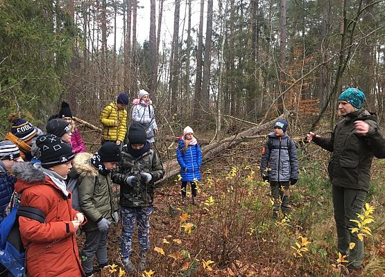 Uczniowie klasy 4c w Nadleśnictwie Lębork grafika