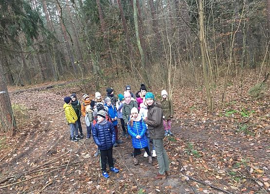 Uczniowie klasy 4c w Nadleśnictwie Lębork grafika