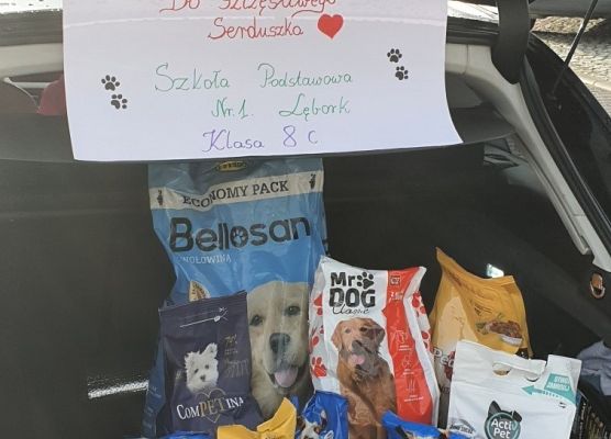 Lubimy pomagać zwierzakom! grafika