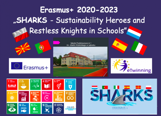  Międzynarodowe spotkanie online - Projekt  Erasmus +  grafika