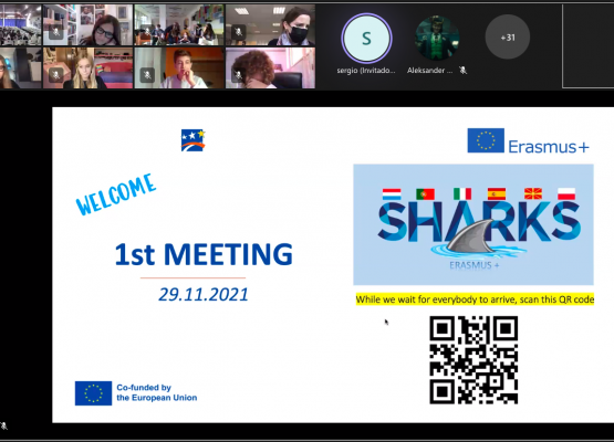 Międzynarodowe spotkanie online - Projekt  Erasmus +  grafika