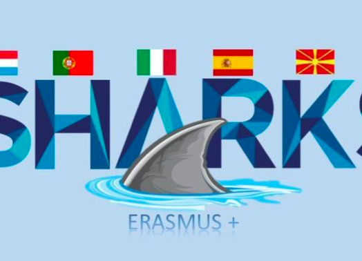  Międzynarodowe spotkanie online - Projekt  Erasmus +  grafika