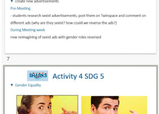  Międzynarodowe spotkanie online - Projekt  Erasmus +  grafika