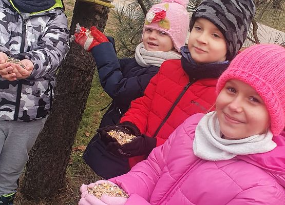 Pomóżmy ptakom przetrwać zimę! grafika