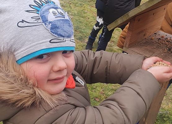 Pomóżmy ptakom przetrwać zimę! grafika