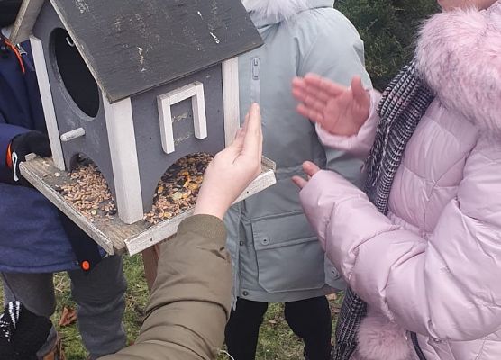 Pomóżmy ptakom przetrwać zimę! grafika