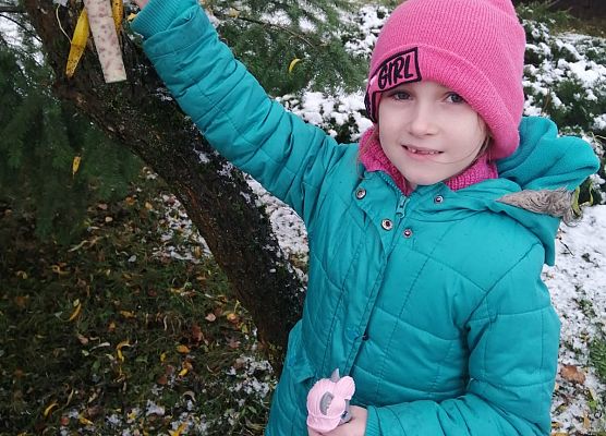 Pomóżmy ptakom przetrwać zimę! grafika