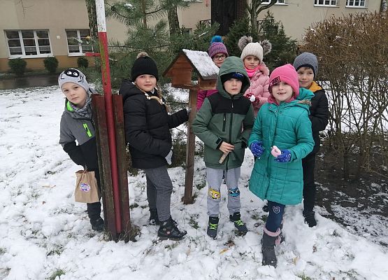 Pomóżmy ptakom przetrwać zimę! grafika