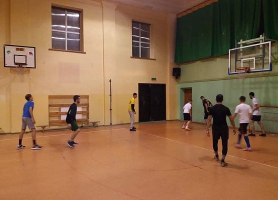 Wizyty zagranicznych wolontariuszy grafika