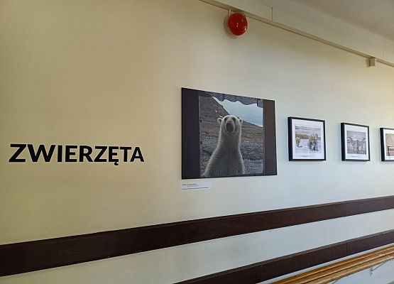 Galeria „Świat w oknie” grafika