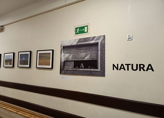 Galeria „Świat w oknie” grafika