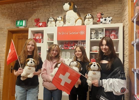 Erasmus+ w Macedonii Północnej, Skopje grafika