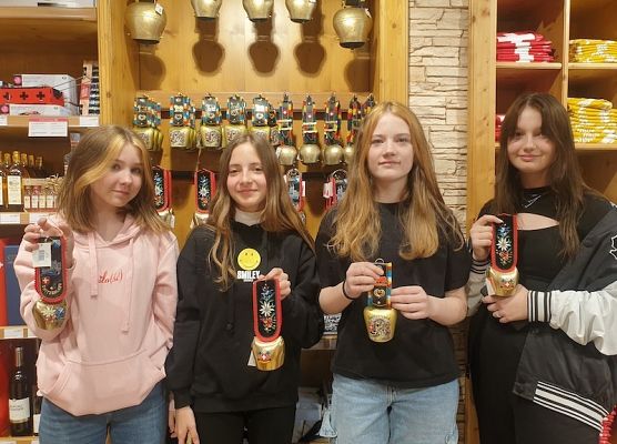 Erasmus+ w Macedonii Północnej, Skopje grafika