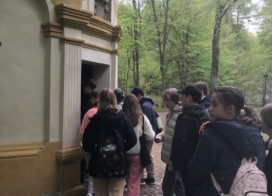 VIIa na wycieczce grafika