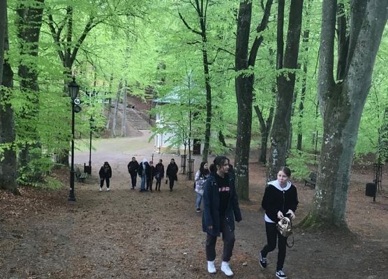 VIIa na wycieczce grafika