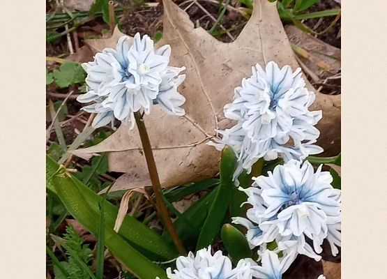 „Moja planeta – piękna na co dzień” – rozstrzygnięcie konkursu grafika