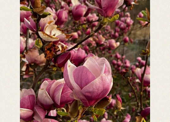 „Moja planeta – piękna na co dzień” – rozstrzygnięcie konkursu grafika