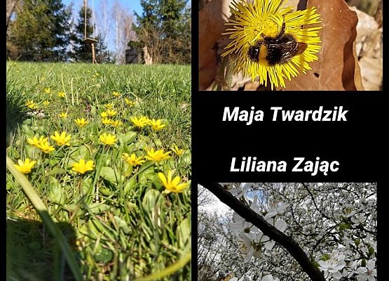 „Moja planeta – piękna na co dzień” – rozstrzygnięcie konkursu grafika