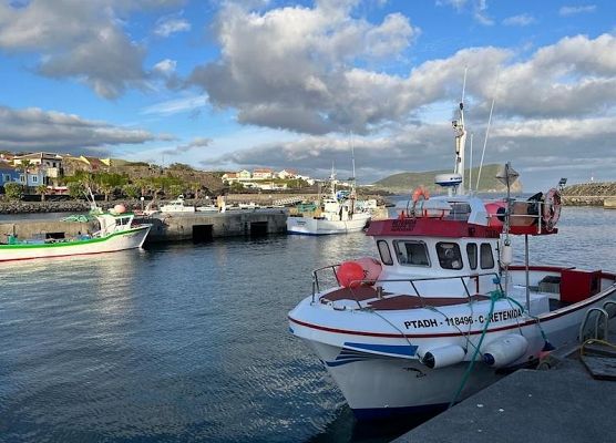 Erasmus+ na Azorach-Terceira, Portugalia grafika