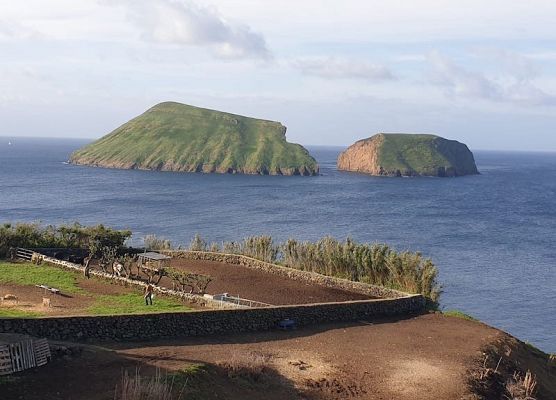 Erasmus+ na Azorach-Terceira, Portugalia grafika