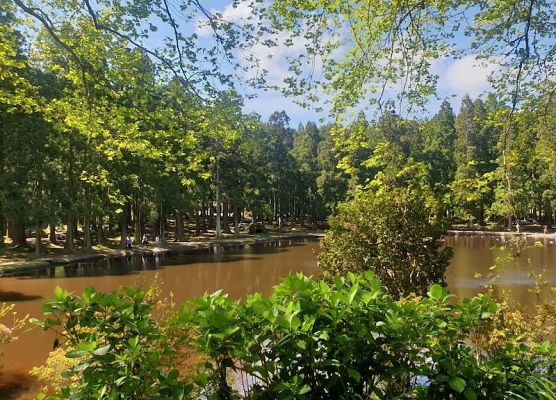 Erasmus+ na Azorach-Terceira, Portugalia grafika