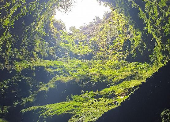 Erasmus+ na Azorach-Terceira, Portugalia grafika