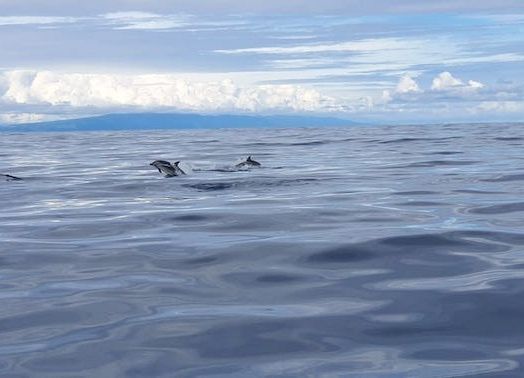 Erasmus+ na Azorach-Terceira, Portugalia grafika