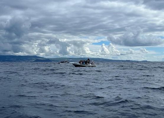 Erasmus+ na Azorach-Terceira, Portugalia grafika