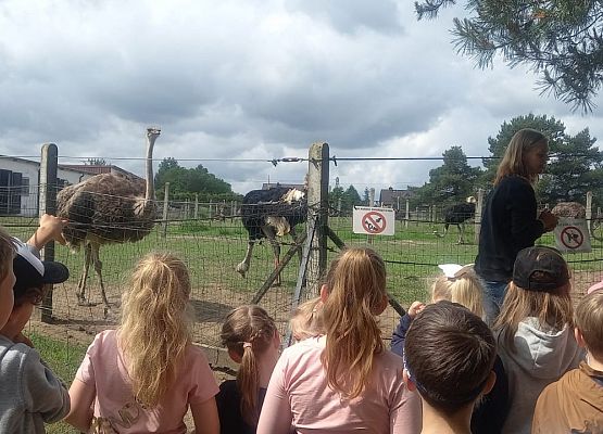 Klasa Ib wkracza do akcji! grafika