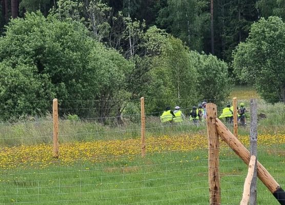 Czerwcowe aktywności klasy IV c grafika
